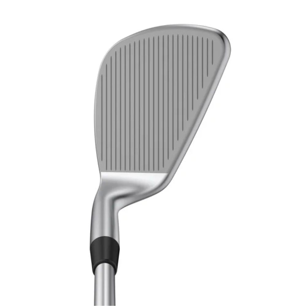 Ping  BunkR Wedge Steel Shaft