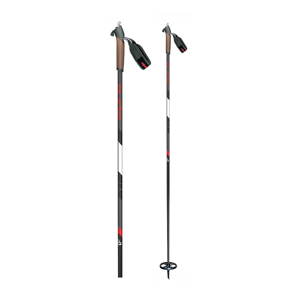 Alpina XT Ski Poles